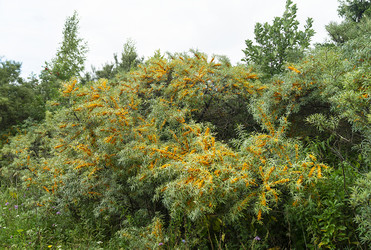 Similar image 21219226