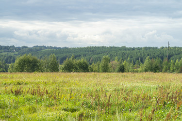 Similar image 21205587