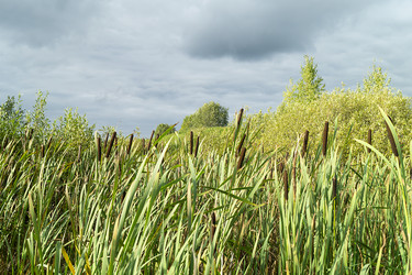 Similar image 21205589