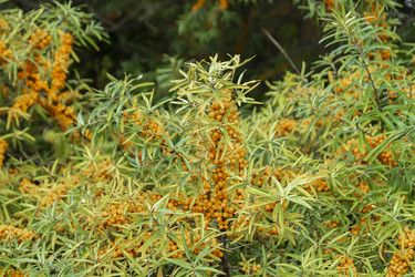 Similar image 21205590