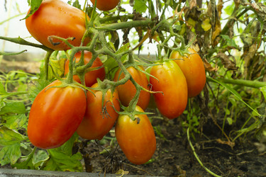 Similar image 21205591