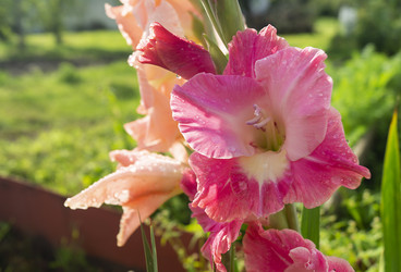 Similar image 21205848