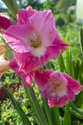 Similar image 21205849