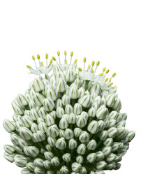 Similar image 21205850