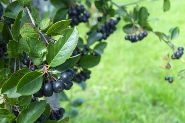 Similar image 21205856