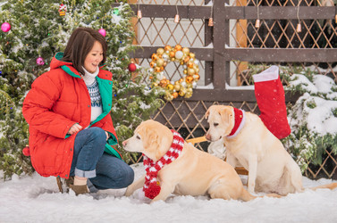 Similar image 21209176