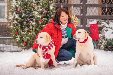 Similar image 21208027