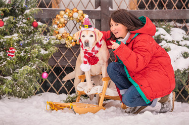 Similar image 21209179