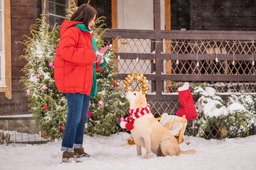 Similar image 21209182