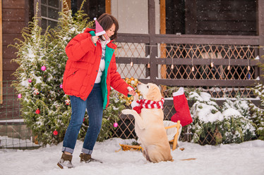 Similar image 21209183