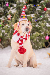 Similar image 21208032