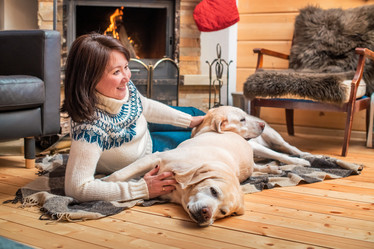 Similar image 21208042