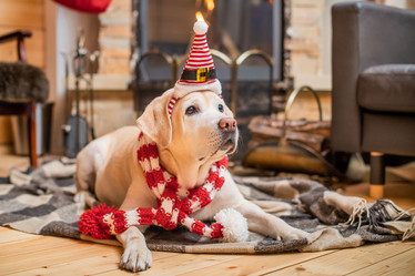 Similar image 21208048