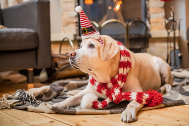 Similar image 21208049