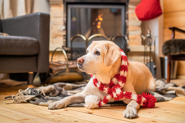 Similar image 21208051