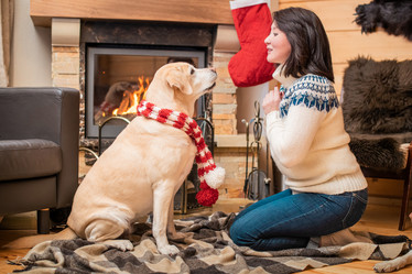 Similar image 21208052