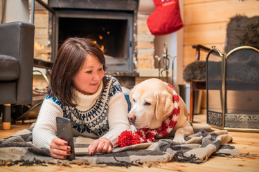 Similar image 21208054