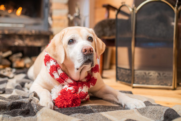 Similar image 21208055