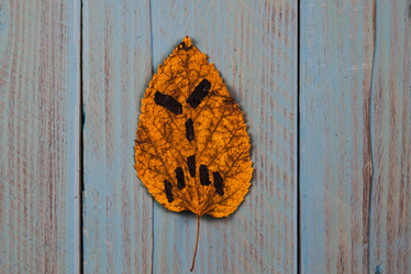 Similar image 21238194