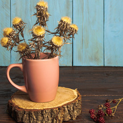 Similar image 21238195