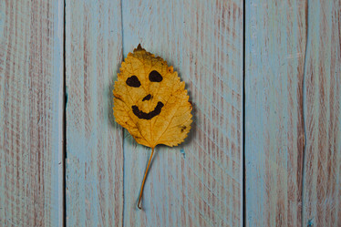 Similar image 21238196