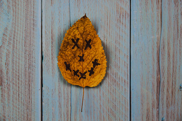 Similar image 21238198