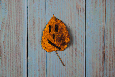 Similar image 21238201