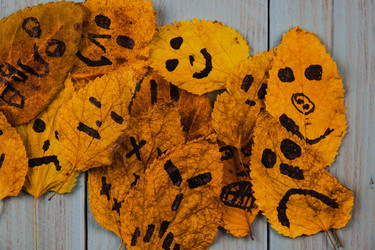 Similar image 21238203