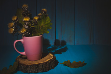 Similar image 21238204