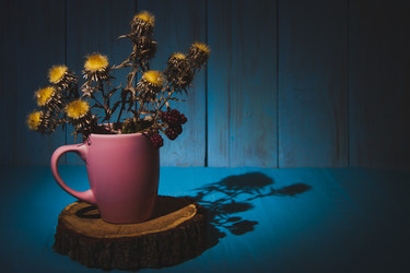 Similar image 21238206