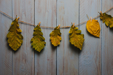 Similar image 21238208