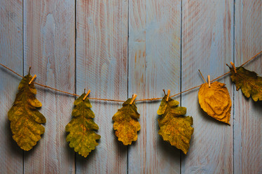 Similar image 21238210