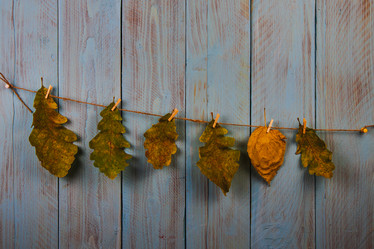 Similar image 21238214