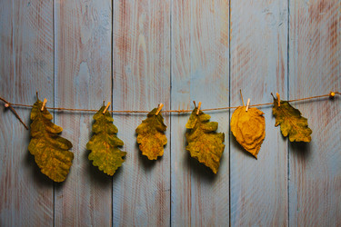 Similar image 21238216