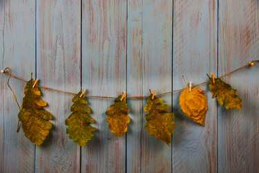 Similar image 21238222