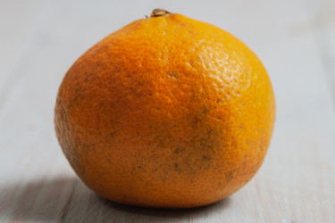 Similar image 21238237