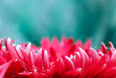 Similar image 21206536