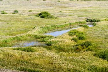 Similar image 21209353