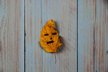 Similar image 21238250