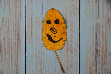 Similar image 21238362