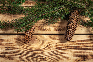 Similar image 21238364