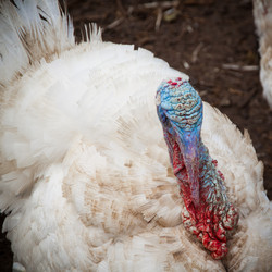 Similar image 21238483