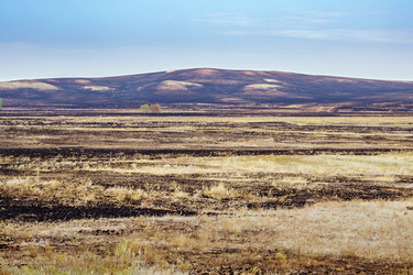 Similar image 21209369