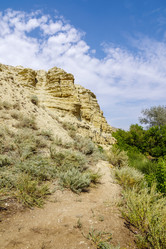 Similar image 21209386