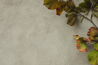 Similar image 21211621