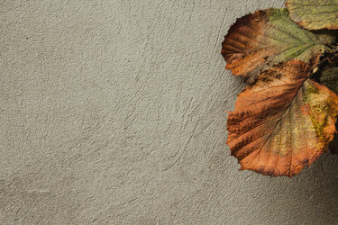 Similar image 21211623