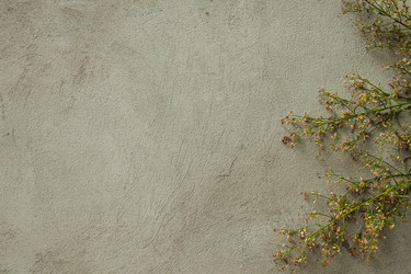 Similar image 21211629