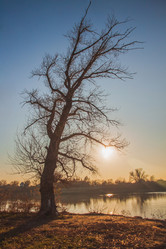 Similar image 21222176