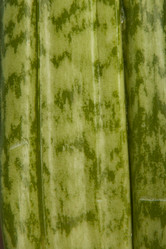 Similar image 21211636