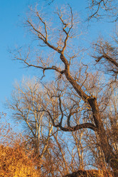 Similar image 21211639